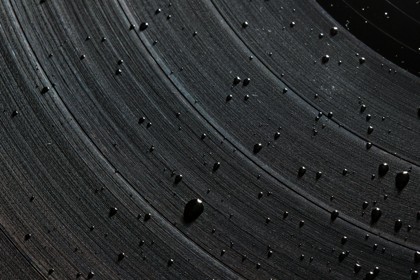 Water droplets sit on the surface of a vinyl record.